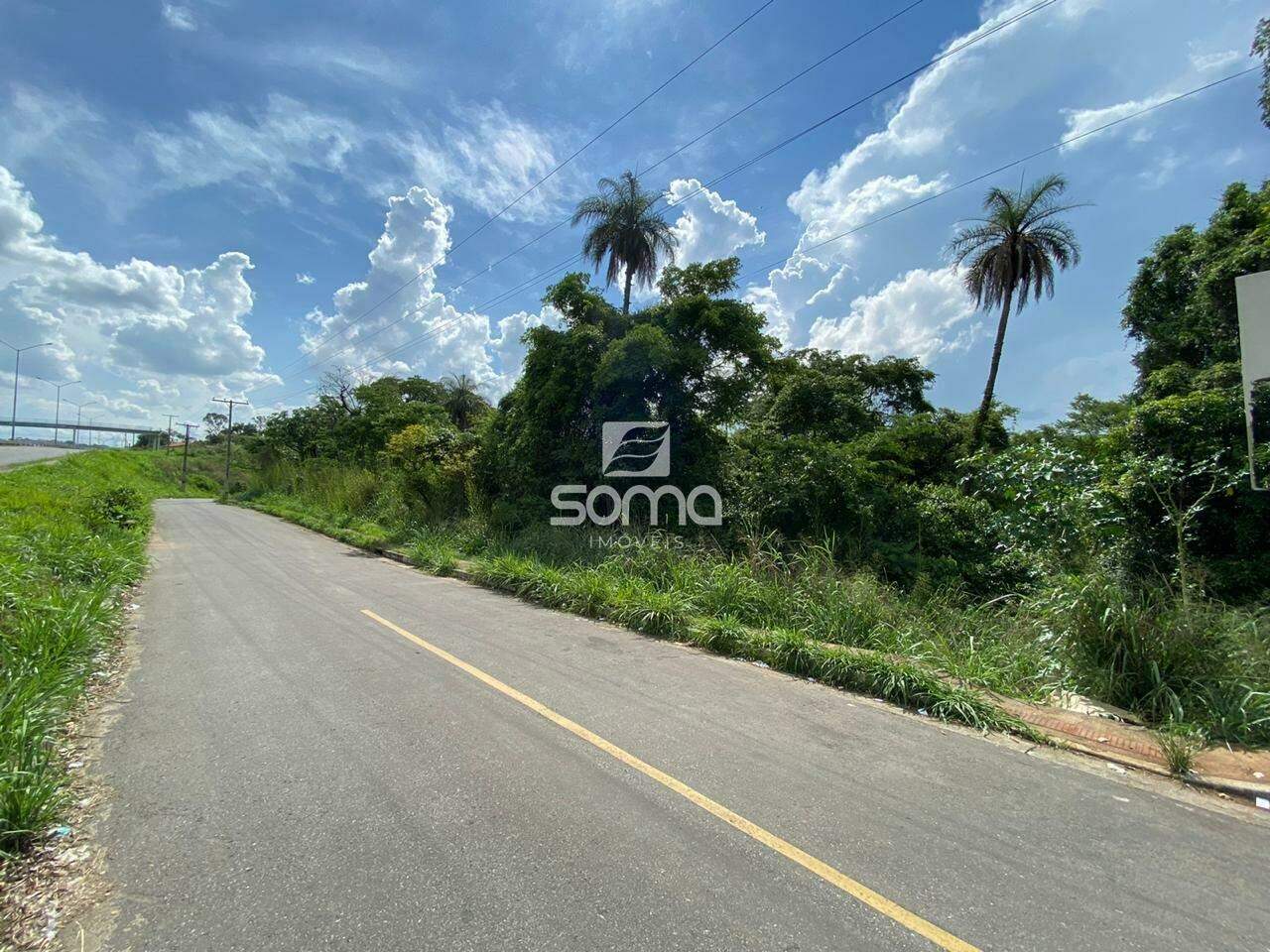 Terreno / Área à venda no Angicos : 