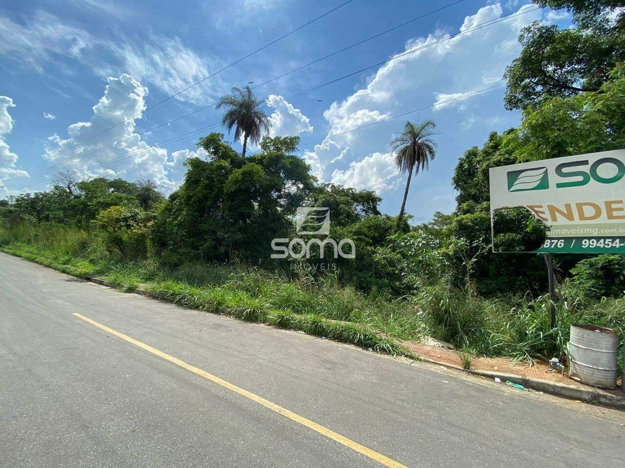 Terreno / Área à venda no Angicos : 