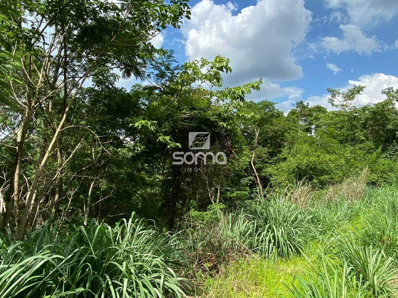 Terreno / Área à venda no Angicos : 