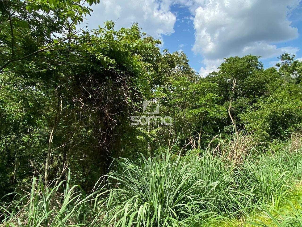 Terreno / Área à venda no Angicos : 