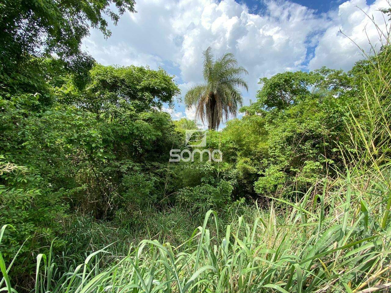 Terreno / Área à venda no Angicos : 