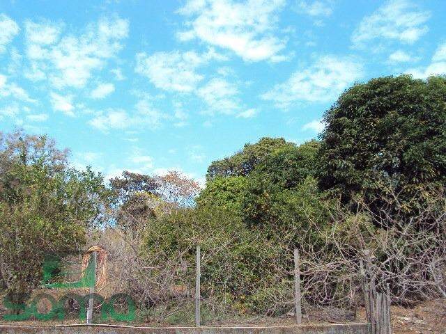 Terreno / Área à venda no Centro: 