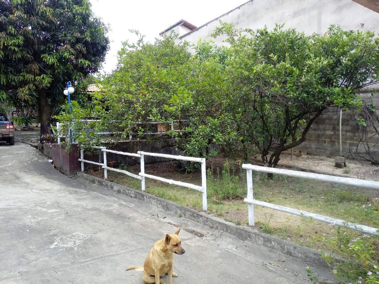 Sítio à venda no Jardim Encantado: 