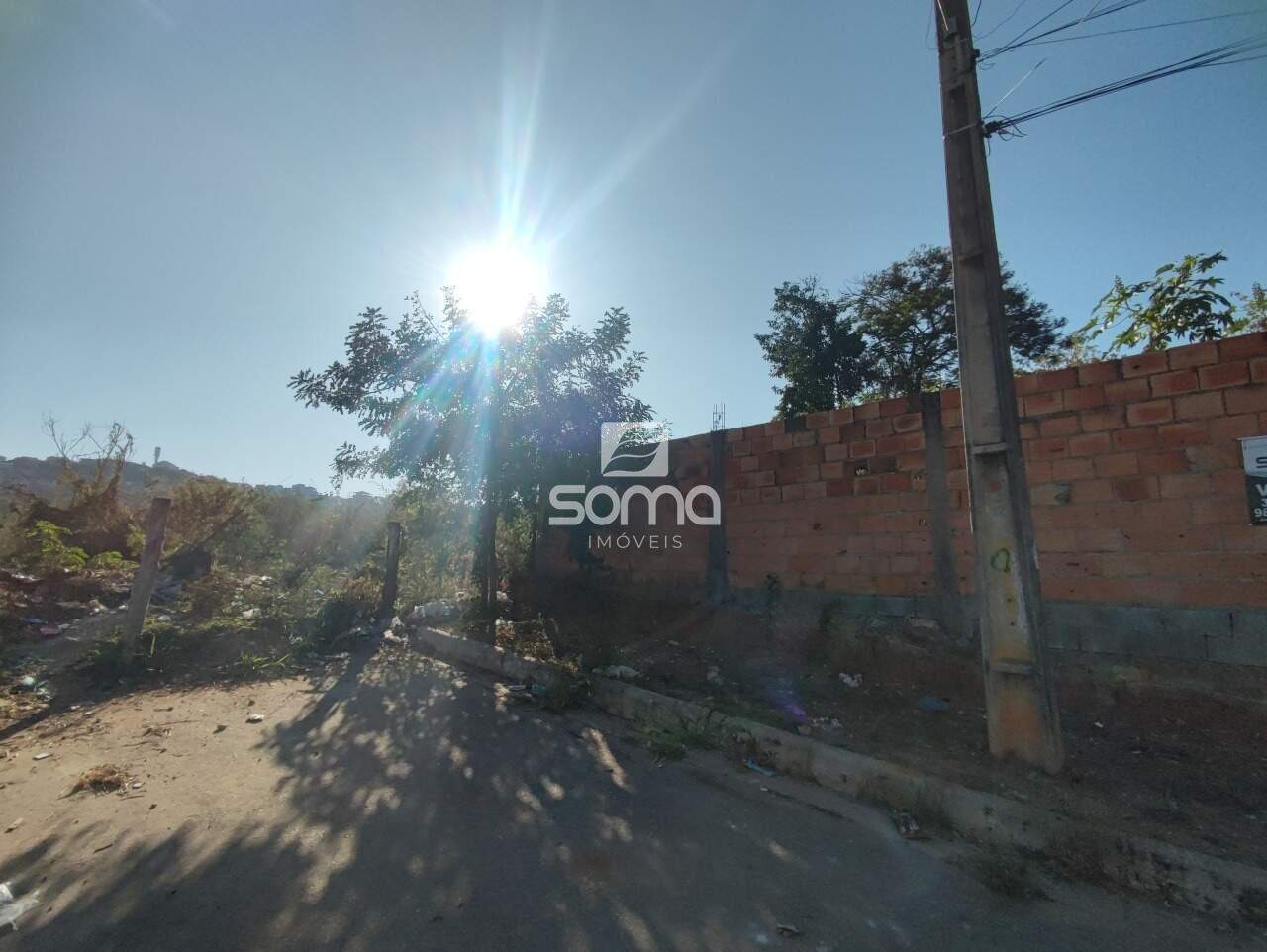 Lote à venda no Jequitibá: