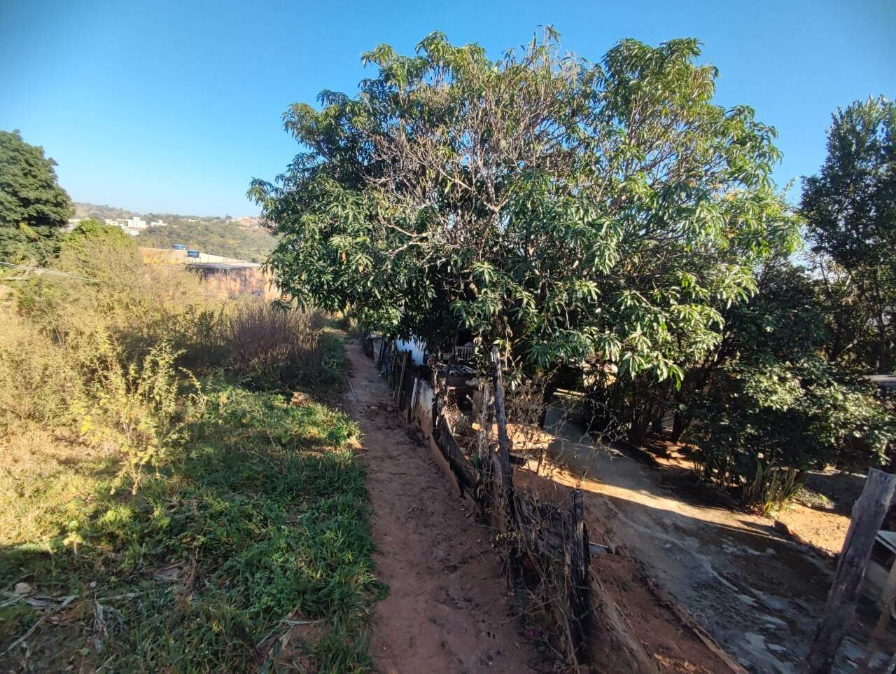 Lote à venda no Jequitibá: