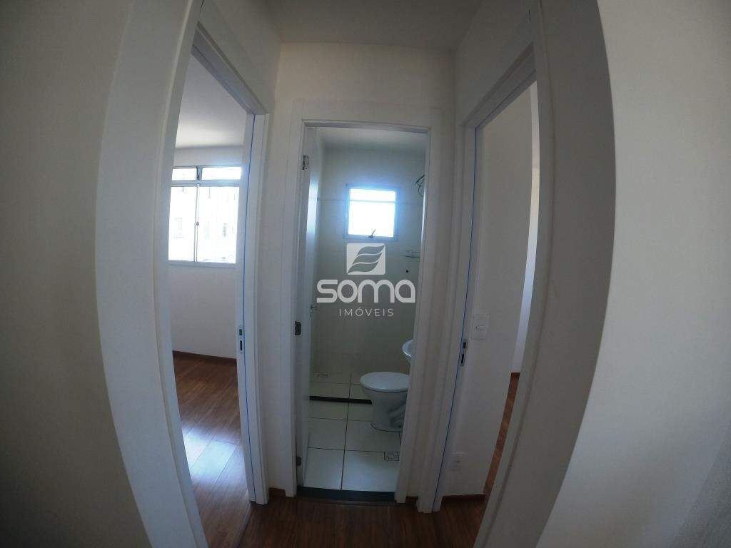 Apartamento para aluguel no Bernardo de Souza: 
