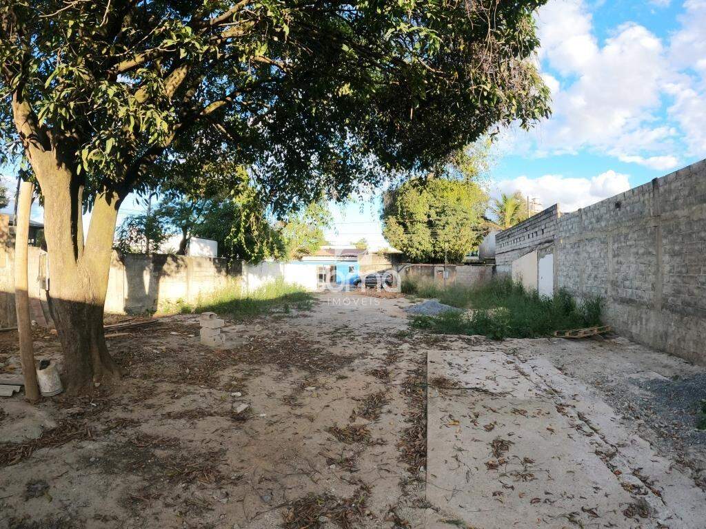 Lote para aluguel no Centro: 