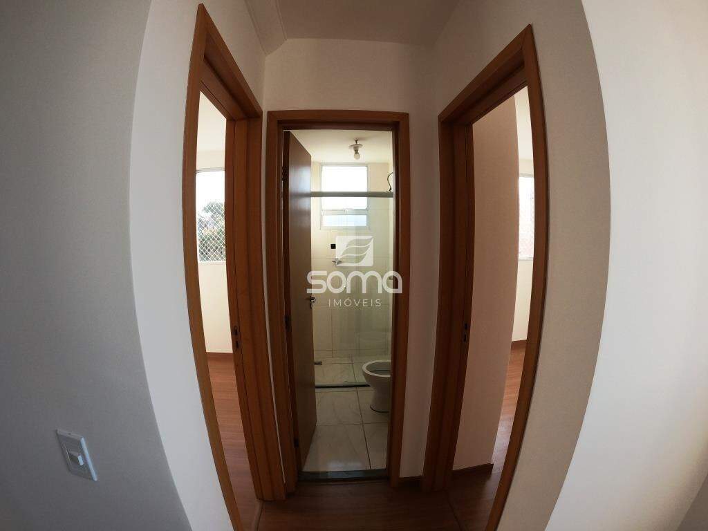 Apartamento para aluguel no Nova Pampulha : 