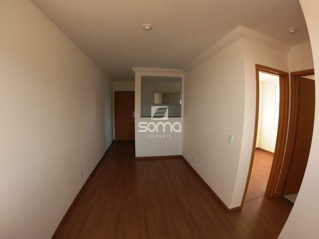 Apartamento para aluguel no Nova Pampulha : 