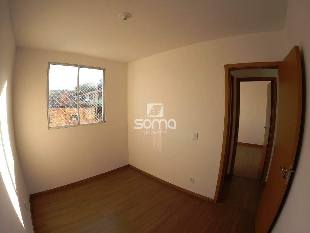 Apartamento para aluguel no Nova Pampulha : 