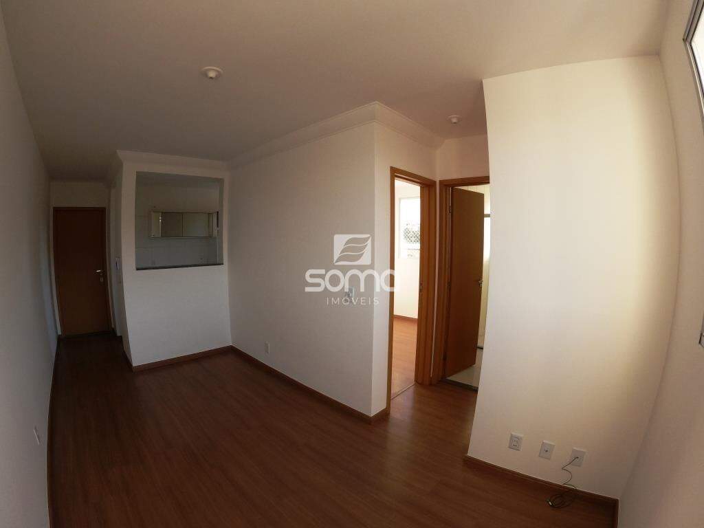 Apartamento para aluguel no Nova Pampulha : 
