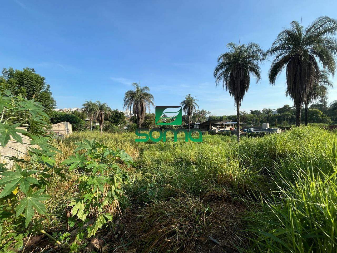 Terreno / Área à venda no Santo Antônio: