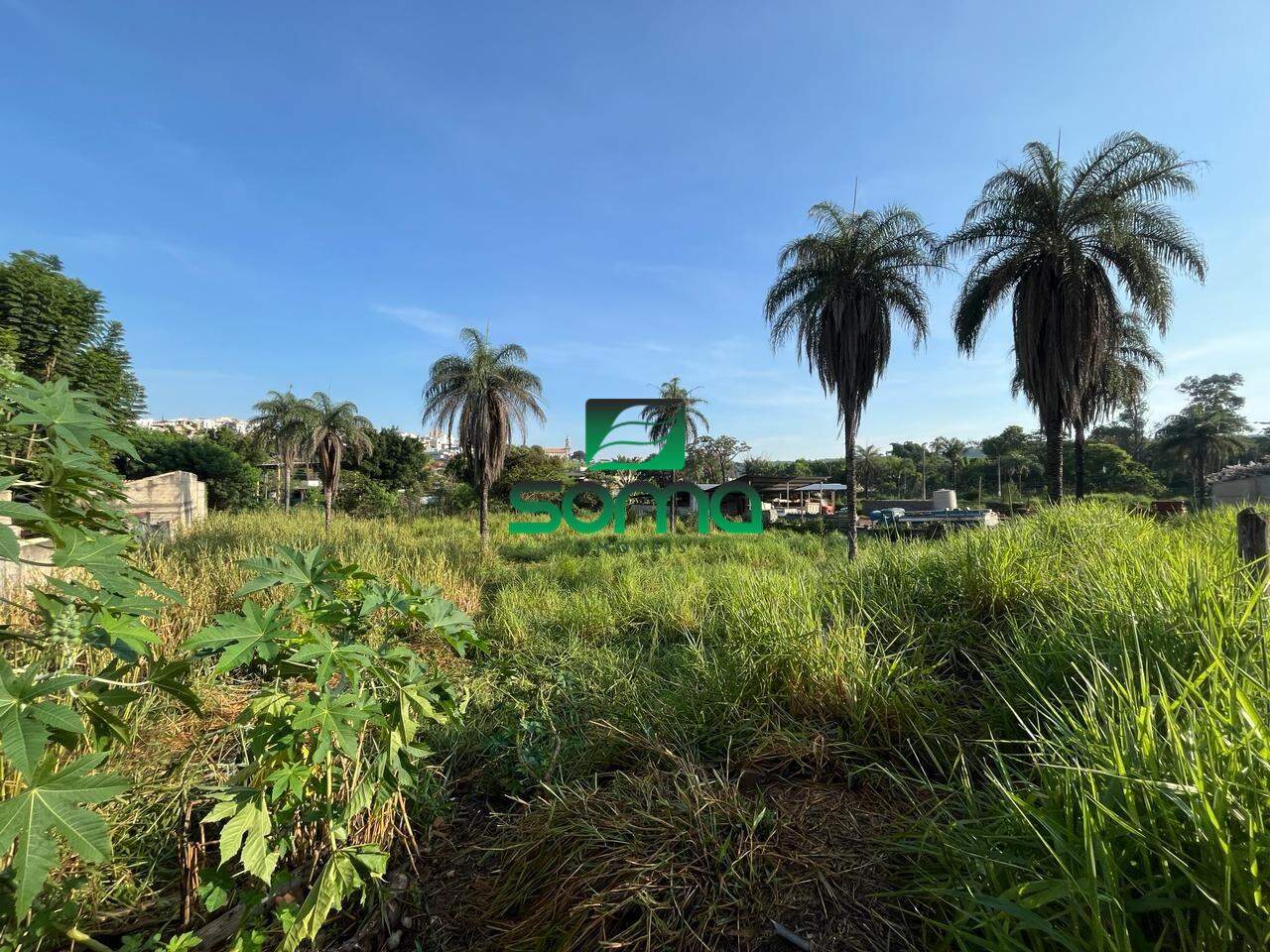 Terreno / Área à venda no Santo Antônio:
