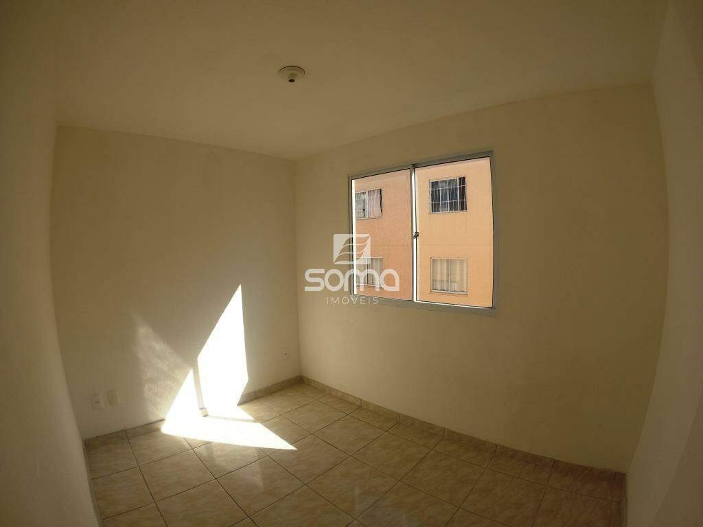 Apartamento para aluguel no Nova Pampulha : 