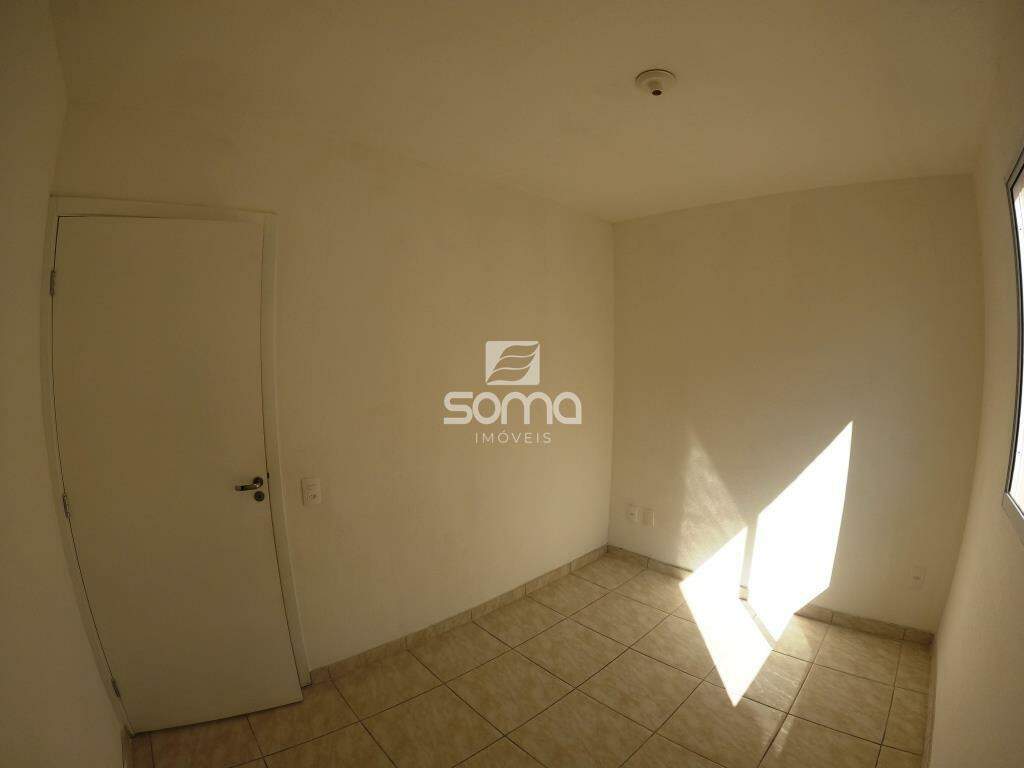 Apartamento para aluguel no Nova Pampulha : 