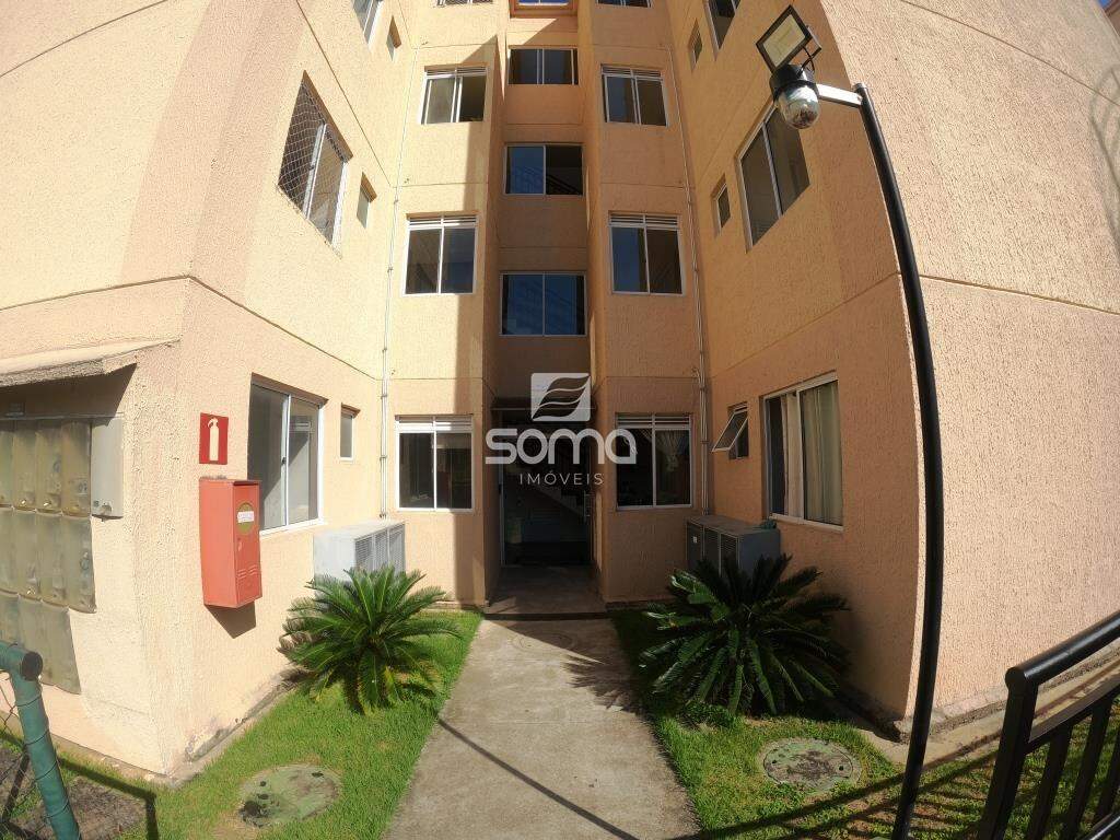 Apartamento para aluguel no Nova Pampulha : 