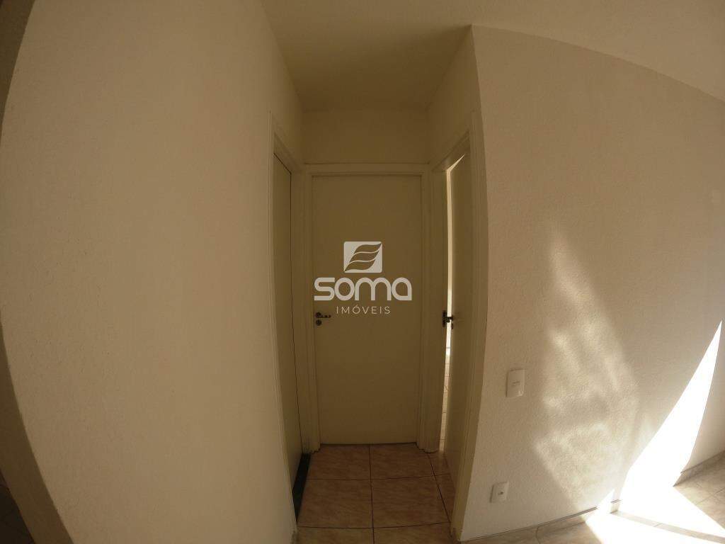 Apartamento para aluguel no Nova Pampulha : 