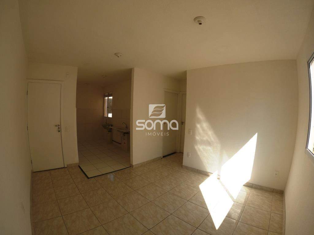 Apartamento para aluguel no Nova Pampulha : 
