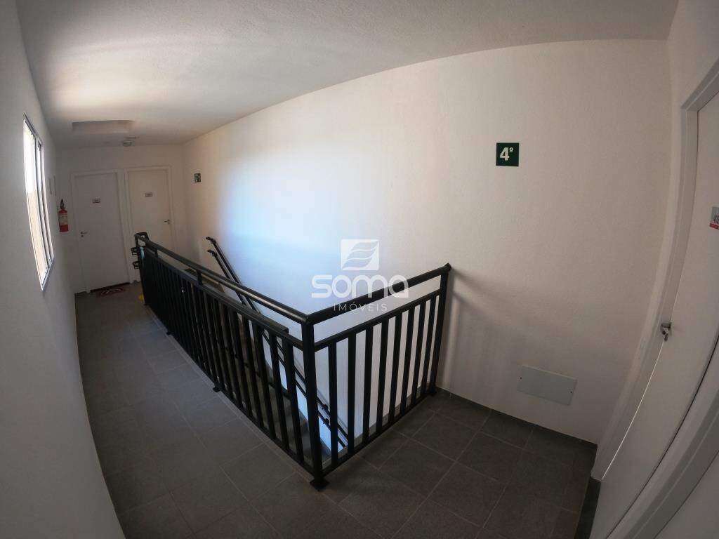 Apartamento para aluguel no Nova Pampulha : 
