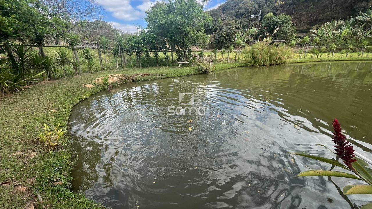 Sítio à venda no Inácia De Carvalho: 