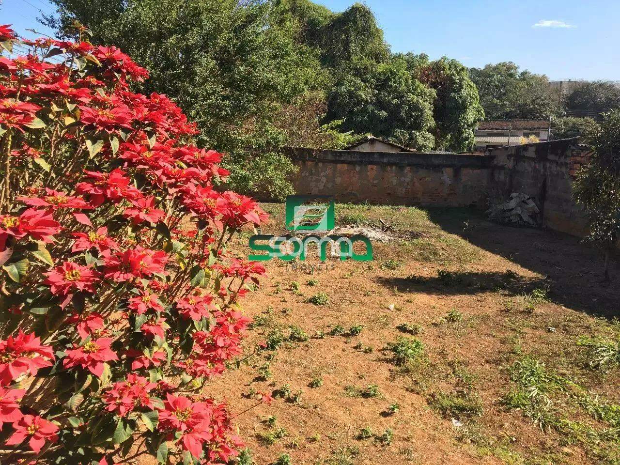 Lote à venda no Célvia: 