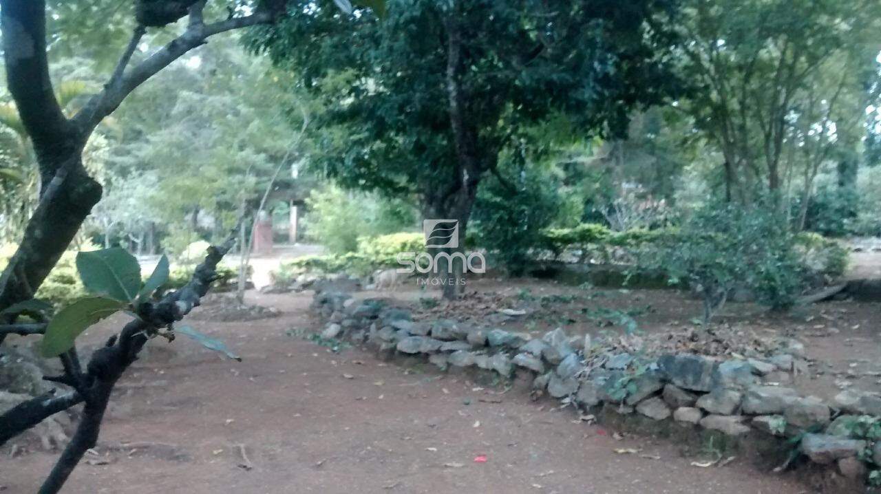Sítio à venda no Lagoinha de Fora: 
