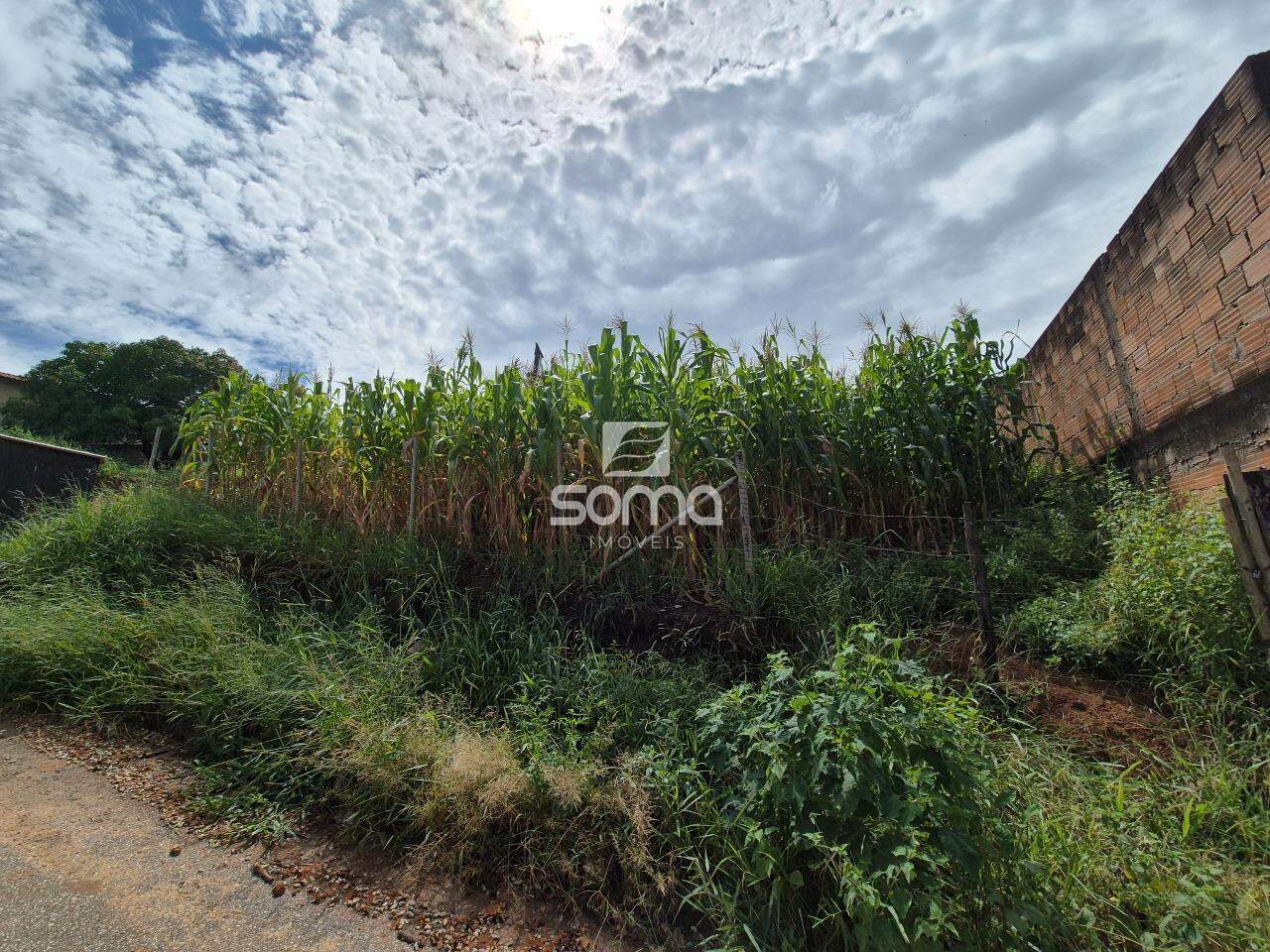 Lote à venda no Chácaras Reunidas São Vicente: 