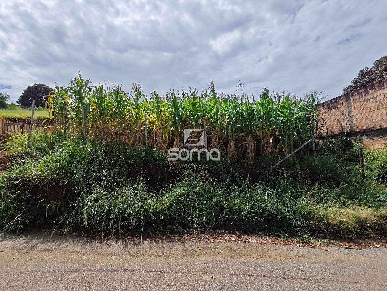 Lote à venda no Chácaras Reunidas São Vicente: 