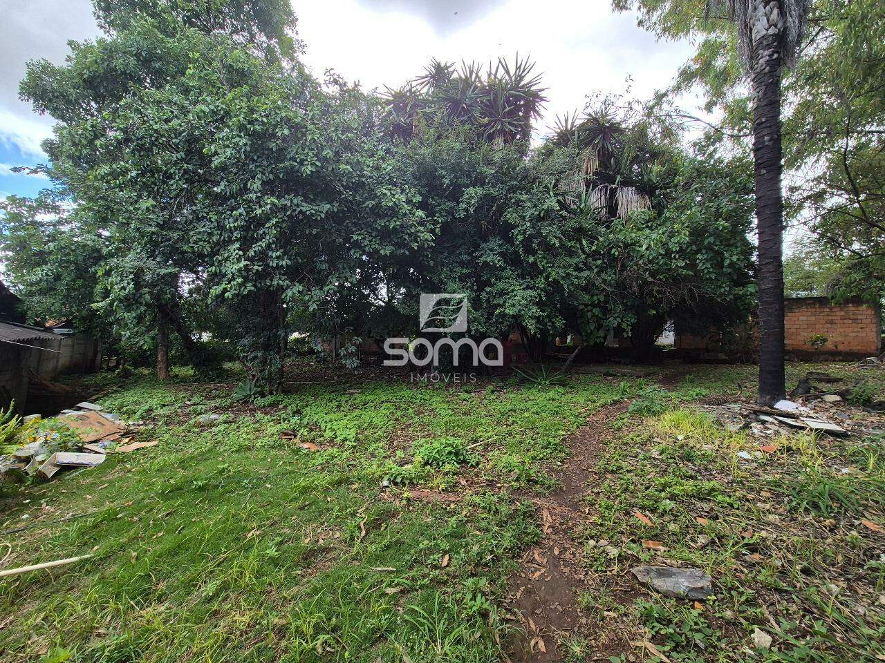 Terreno / Área à venda no Jardim Encantado: 