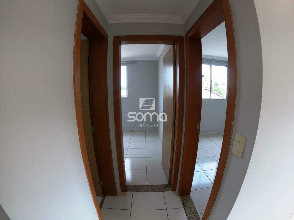 Apartamento para aluguel no Célvia: 