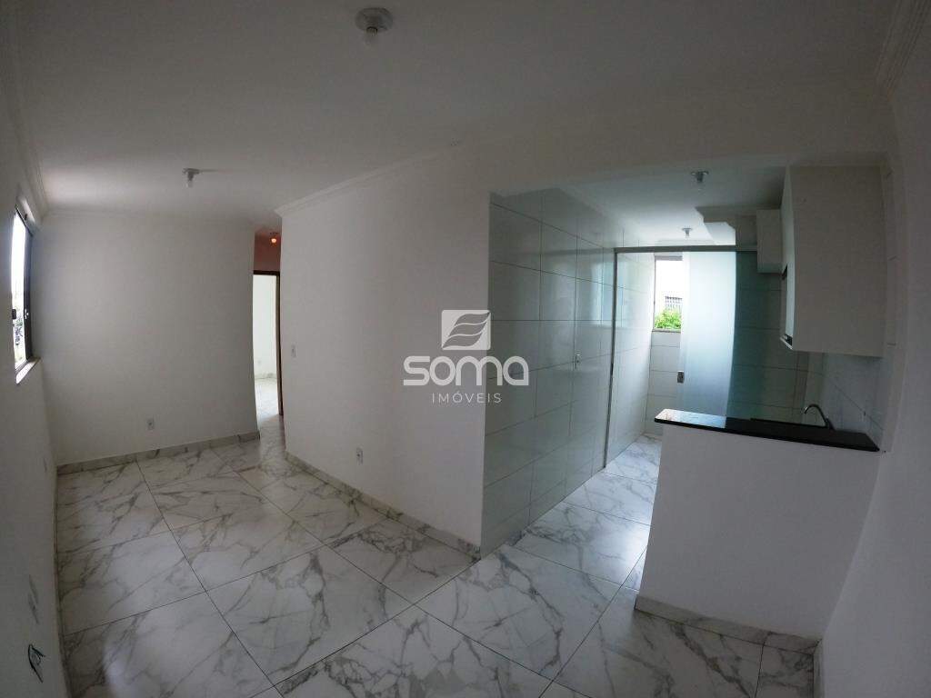 Apartamento para aluguel no Boa Vista: 