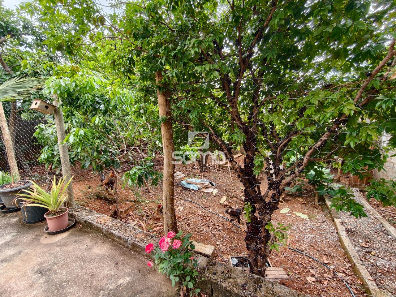 Casa à venda no Vale Formoso: 