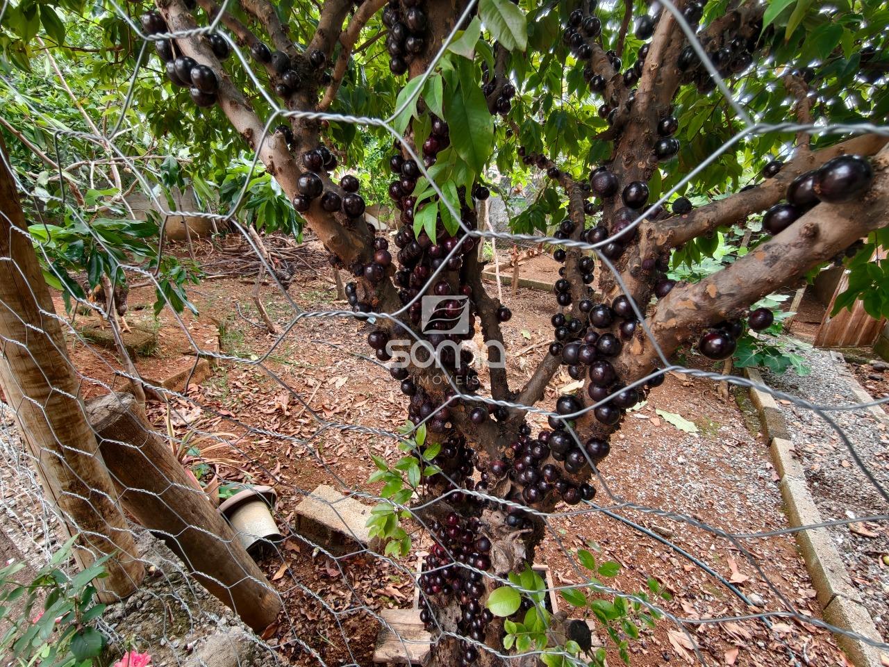 Casa à venda no Vale Formoso: 