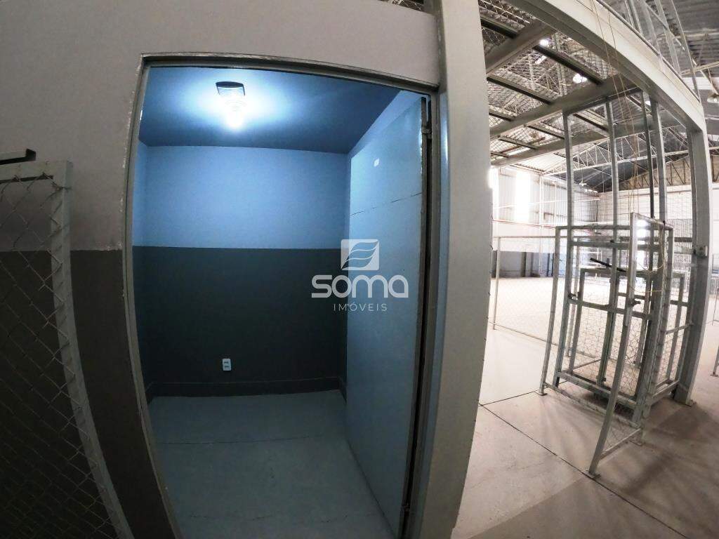 Galpão para aluguel no Nova Pampulha : 