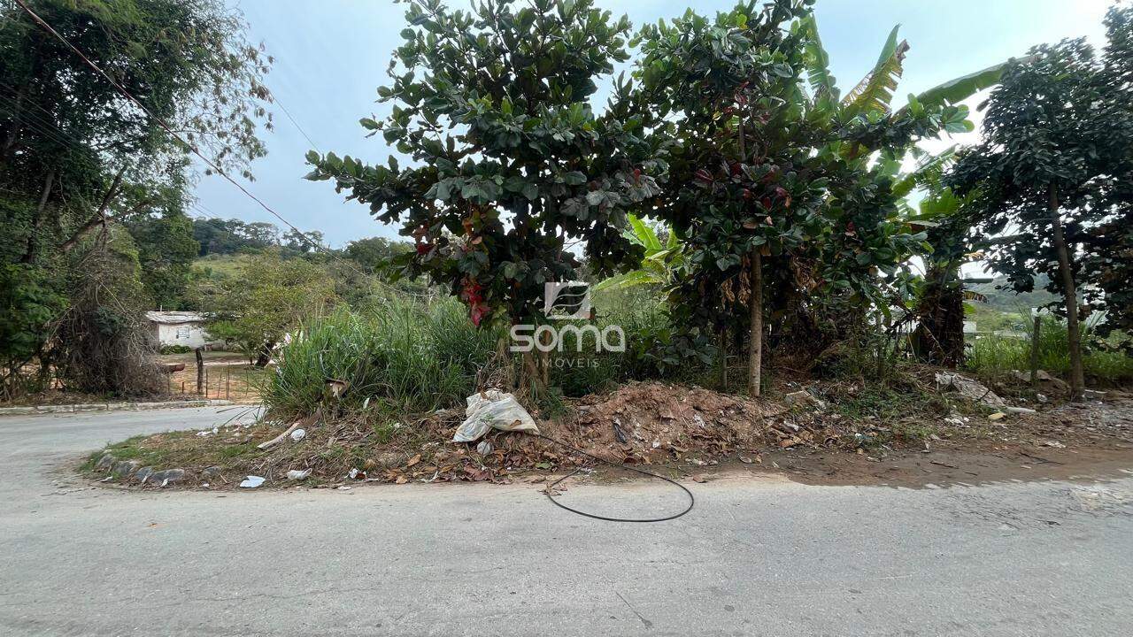 Lote à venda no Santa Cruz : 