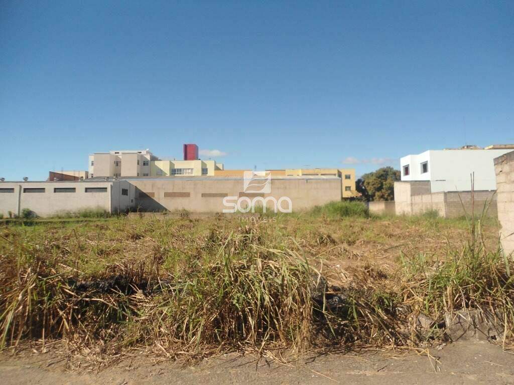 Lote para aluguel no Centro: 