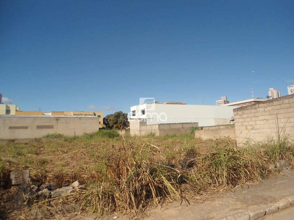 Lote para aluguel no Centro: 