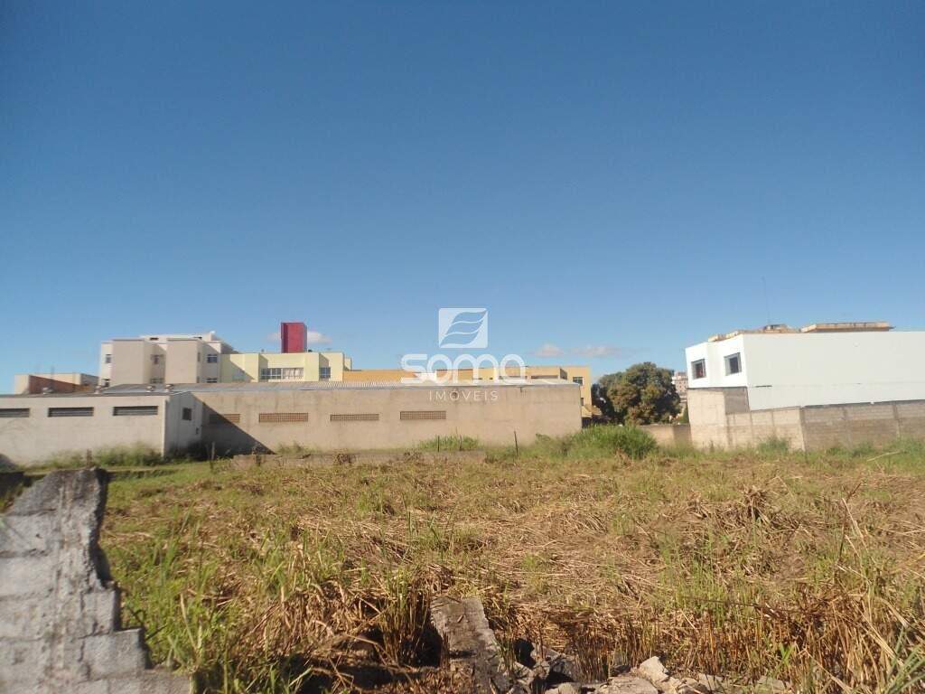 Lote para aluguel no Centro: 