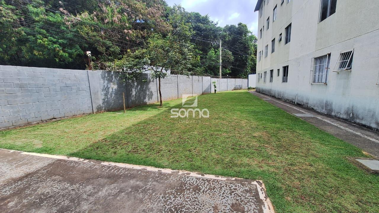 Apartamento à venda no Jequitibá: 