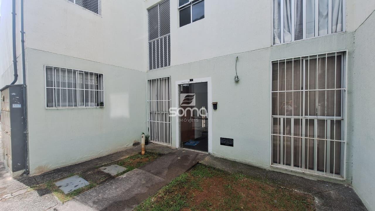 Apartamento à venda no Jequitibá: 