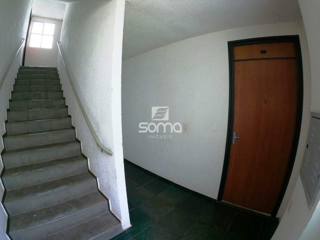 Apartamento para aluguel no Bonsucesso: 