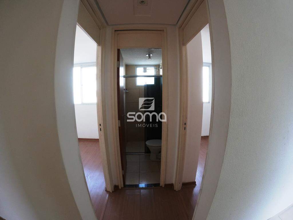 Apartamento para aluguel no Bonsucesso: 