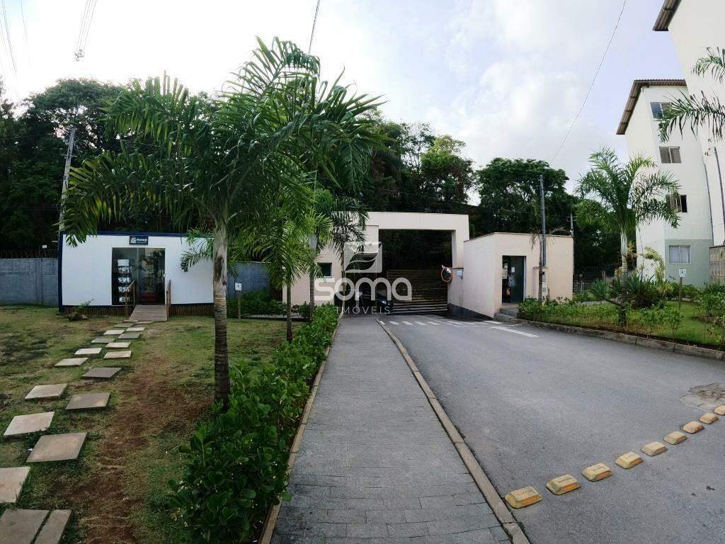 Apartamento para aluguel no Bonsucesso: 