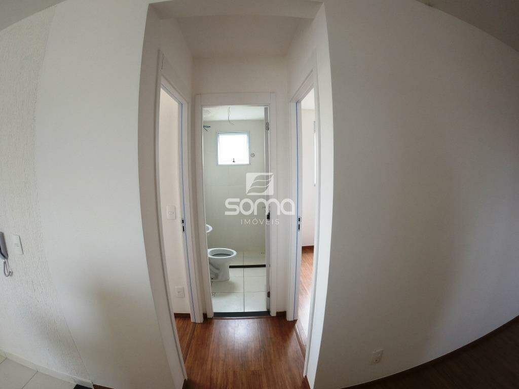 Apartamento para aluguel no Bernardo de Souza: 