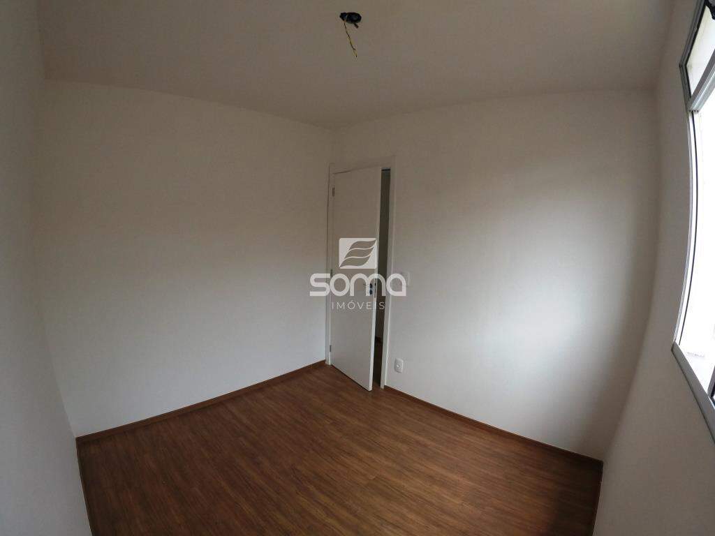 Apartamento para aluguel no Bernardo de Souza: 