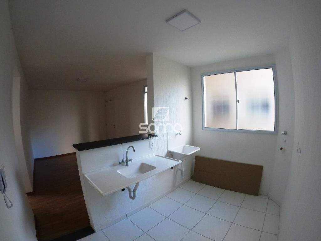 Apartamento para aluguel no Bernardo de Souza: 