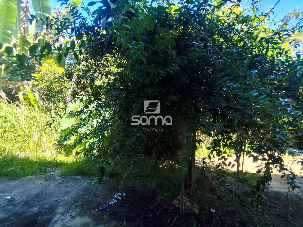 Apartamento à venda no Caieiras: 