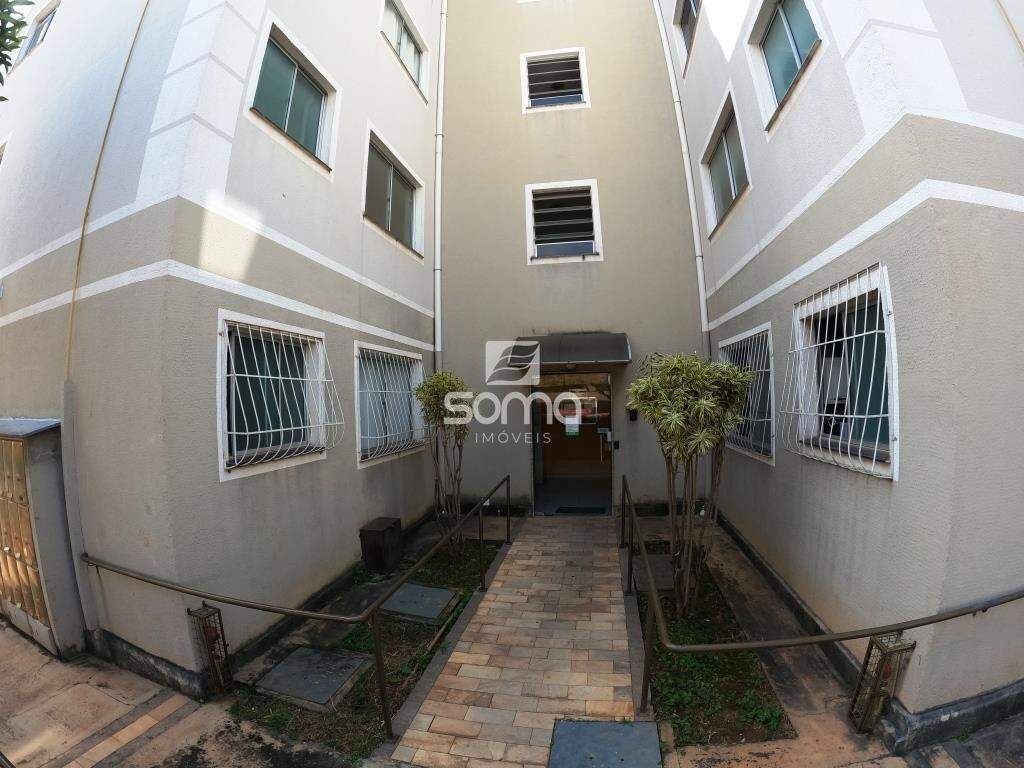 Apartamento para aluguel no Gávea II: 