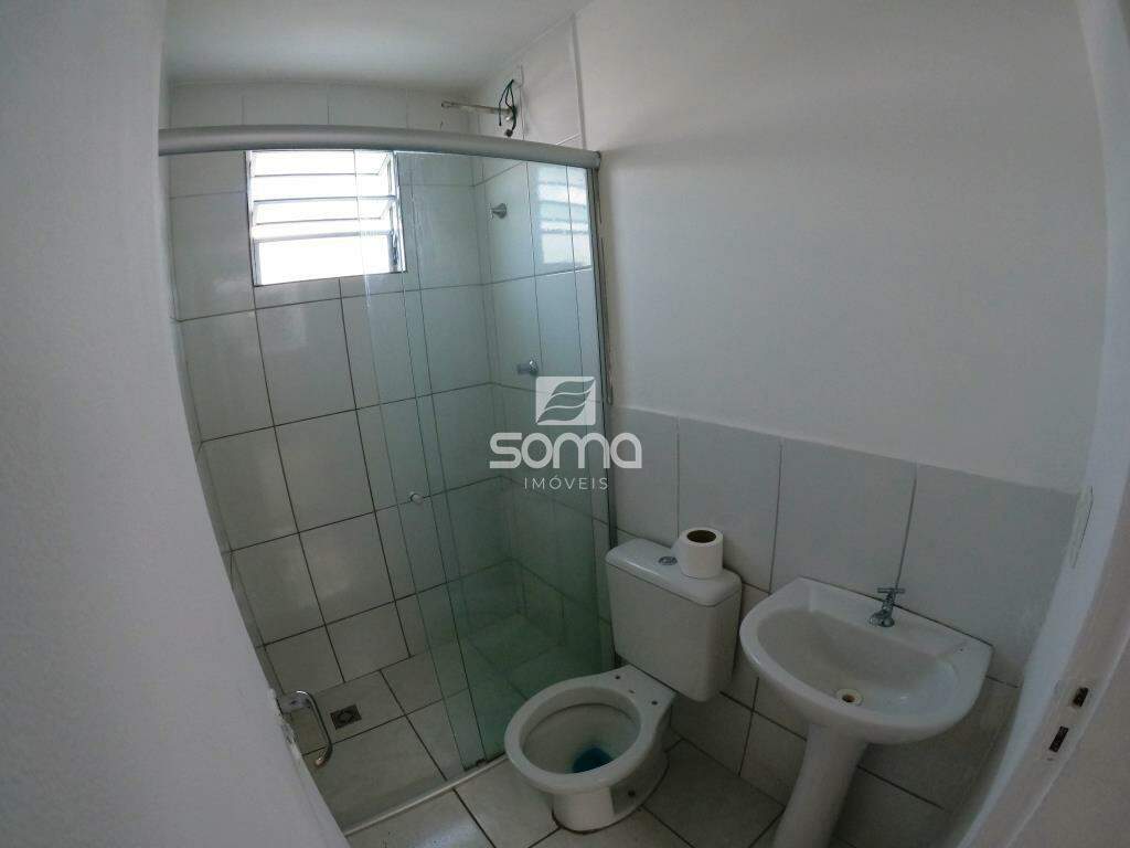 Apartamento para aluguel no Gávea II: 