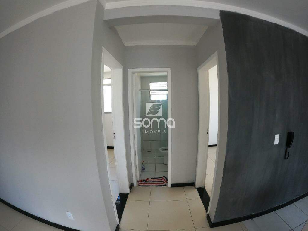 Apartamento para aluguel no Gávea II: 